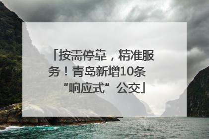 按需停靠，精准服务！青岛新增10条“响应式”公交