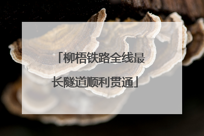 柳梧铁路全线最长隧道顺利贯通