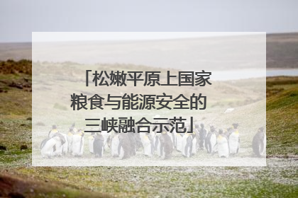 松嫩平原上国家粮食与能源安全的三峡融合示范