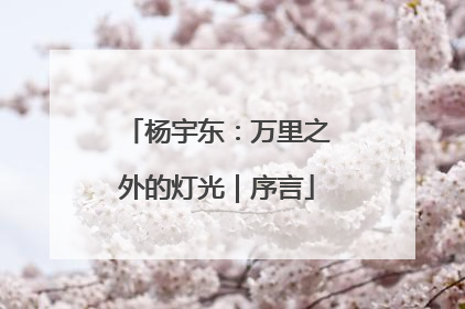 杨宇东：万里之外的灯光｜序言