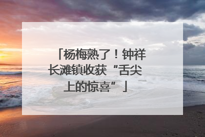 杨梅熟了！钟祥长滩镇收获“舌尖上的惊喜”