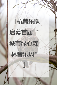 杭盖乐队启幕首届“城市绿心森林音乐周”