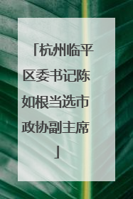 杭州临平区委书记陈如根当选市政协副主席