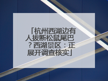 杭州西湖边有人拔断松鼠尾巴？西湖景区：正展开调查核实