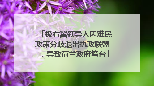 极右翼领导人因难民政策分歧退出执政联盟，导致荷兰政府垮台