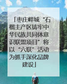 枣庄峄城“石榴主产区铸牢中华民族共同体意识联盟项目”将以“六联”活动为抓手深化品牌建设