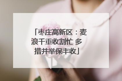 枣庄高新区：麦浪千重收割忙 多措并举保丰收