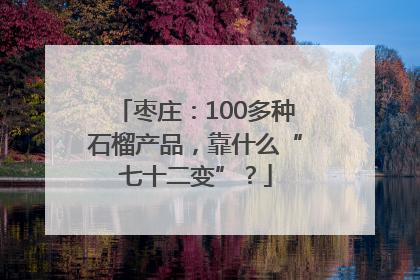 枣庄：100多种石榴产品，靠什么“七十二变”？