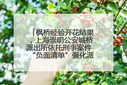 枫桥经验开花结果，上海崇明公安城桥派出所依托刑事案件“负面清单”强化派出所“主防”