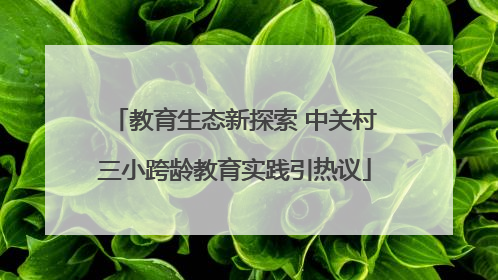 教育生态新探索 中关村三小跨龄教育实践引热议
