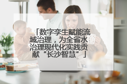 数字孪生赋能流域治理，为全省水治理现代化实践贡献“长沙智慧”