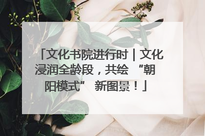 文化书院进行时｜文化浸润全龄段，共绘 “朝阳模式” 新图景！