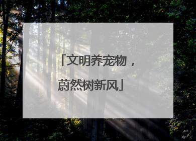 文明养宠物，蔚然树新风