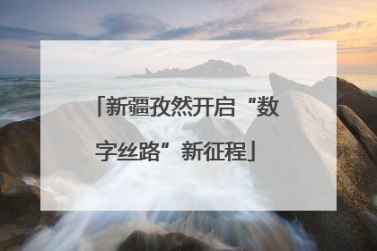新疆孜然开启“数字丝路”新征程