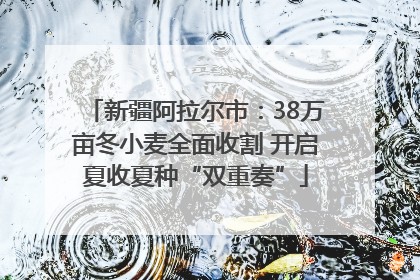 新疆阿拉尔市：38万亩冬小麦全面收割 开启夏收夏种“双重奏”