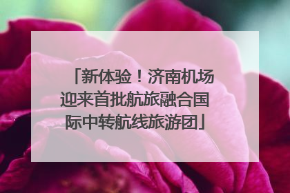 新体验！济南机场迎来首批航旅融合国际中转航线旅游团