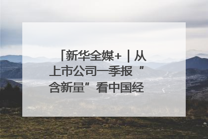 新华全媒+｜从上市公司一季报“含新量”看中国经济发展向“新”