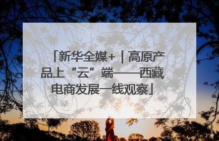 新华全媒+｜高原产品上“云”端——西藏电商发展一线观察
