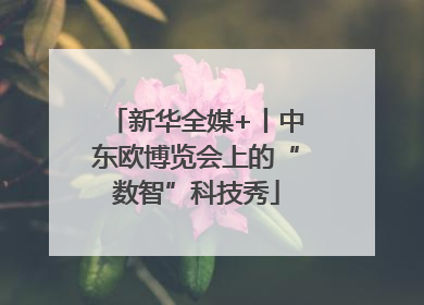 新华全媒+丨中东欧博览会上的“数智”科技秀