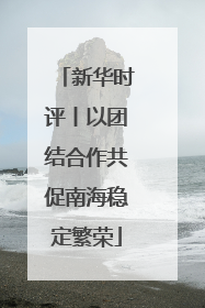 新华时评丨以团结合作共促南海稳定繁荣