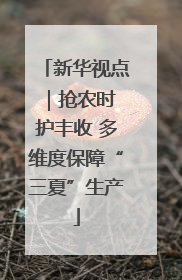 新华视点｜抢农时 护丰收 多维度保障“三夏”生产