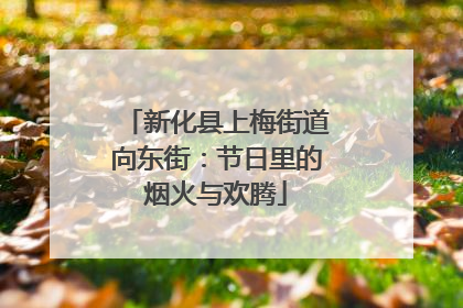 新化县上梅街道向东街：节日里的烟火与欢腾