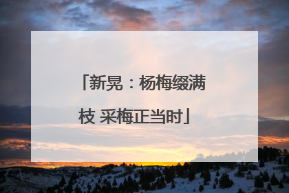 新晃：杨梅缀满枝 采梅正当时