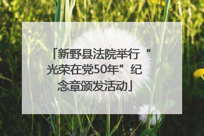 新野县法院举行“光荣在党50年”纪念章颁发活动