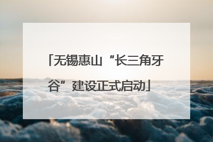 无锡惠山“长三角牙谷”建设正式启动