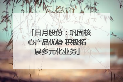 日月股份：巩固核心产品优势 积极拓展多元化业务