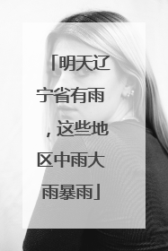 明天辽宁省有雨，这些地区中雨大雨暴雨