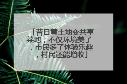 昔日黄土地变共享菜地，不仅环境美了，市民多了体验乐趣，村民还能增收