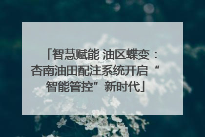 智慧赋能 油区蝶变：杏南油田配注系统开启“智能管控”新时代