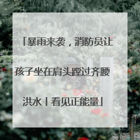 暴雨来袭，消防员让孩子坐在肩头蹚过齐腰洪水丨看见正能量