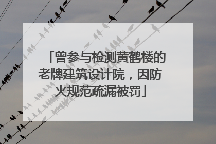 曾参与检测黄鹤楼的老牌建筑设计院，因防火规范疏漏被罚