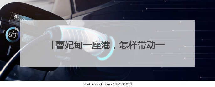 曹妃甸一座港，怎样带动一座城？人民日报记者调查