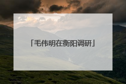 毛伟明在衡阳调研