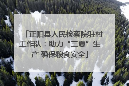 正阳县人民检察院驻村工作队：助力“三夏”生产 确保粮食安全