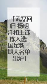 武磊回归 杨明洋和王钰栋入选 国足新一期大名单出炉