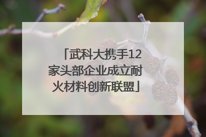 武科大携手12家头部企业成立耐火材料创新联盟