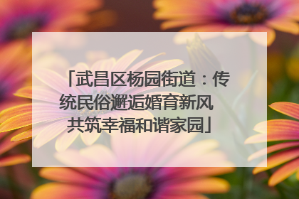 武昌区杨园街道：传统民俗邂逅婚育新风 共筑幸福和谐家园