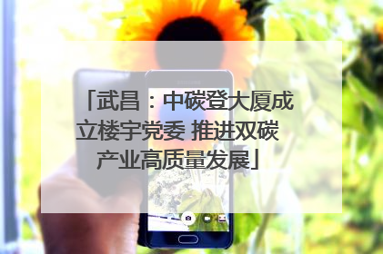 武昌：中碳登大厦成立楼宇党委 推进双碳产业高质量发展