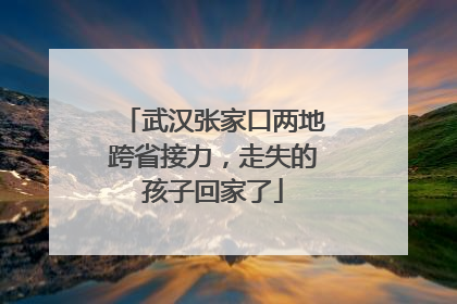 武汉张家口两地跨省接力，走失的孩子回家了