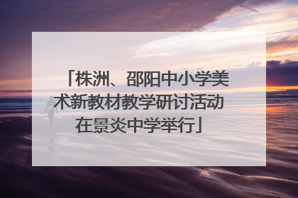 株洲、邵阳中小学美术新教材教学研讨活动在景炎中学举行