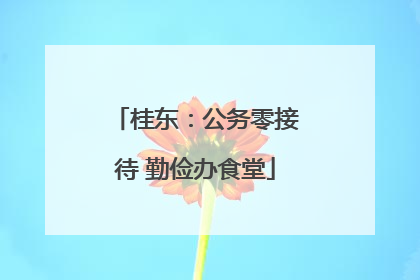 桂东：公务零接待 勤俭办食堂
