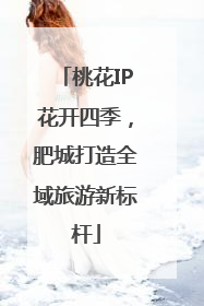 桃花IP花开四季，肥城打造全域旅游新标杆