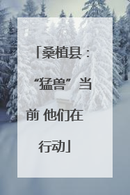 桑植县：“猛兽”当前 他们在行动