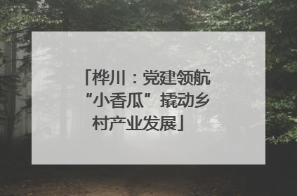 桦川：党建领航“小香瓜”撬动乡村产业发展