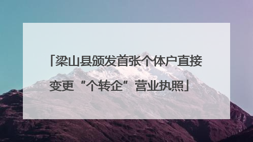 梁山县颁发首张个体户直接变更“个转企”营业执照