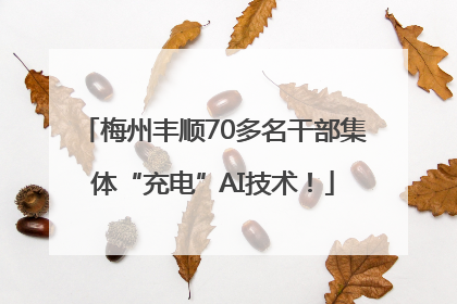 梅州丰顺70多名干部集体“充电”AI技术！